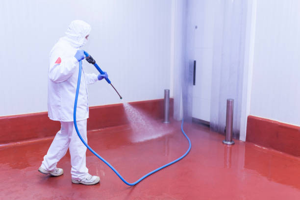 Best Pool Deck Cleaning  in Chillum, MD